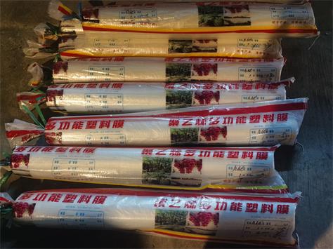 CB2010-聚乙烯PE薄膜